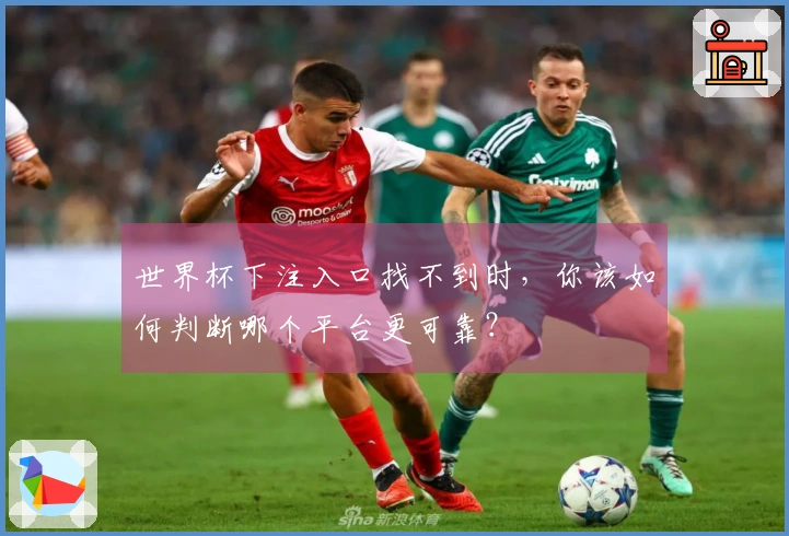 世界杯下注入口找不到时，你该如何判断哪个平台更可靠？