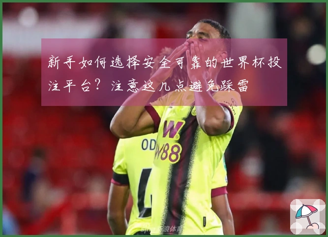 新手如何选择安全可靠的世界杯投注平台？注意这几点避免踩雷