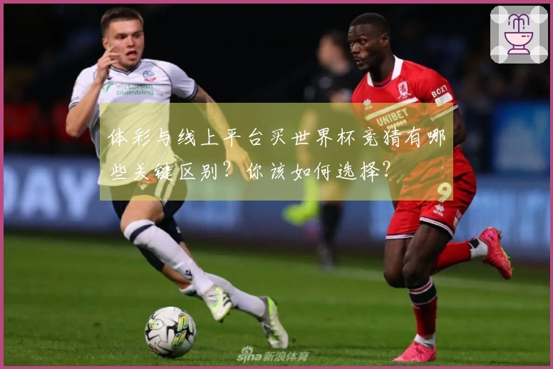 体彩与线上平台买世界杯竞猜有哪些关键区别？你该如何选择？