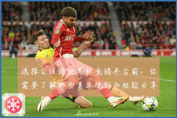 选择合适的世界杯竞猜平台前,你需要了解哪些基本规则和经验分享
