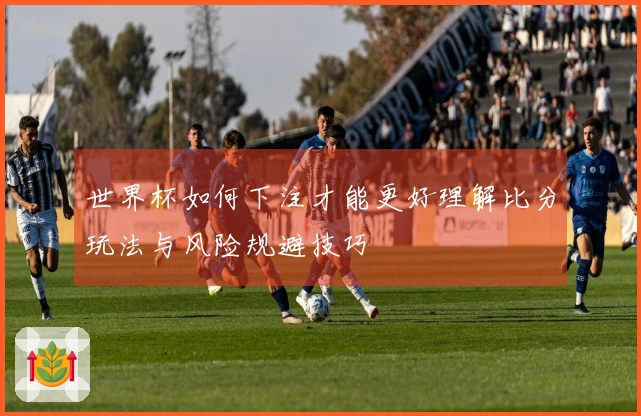 世界杯如何下注才能更好理解比分玩法与风险规避技巧