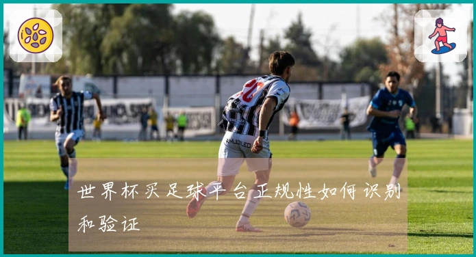世界杯买足球平台正规性如何识别和验证