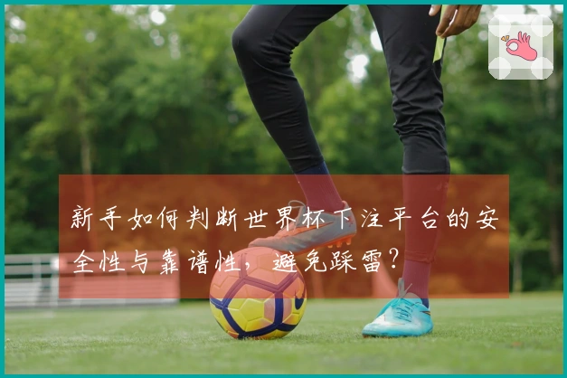 新手如何判断世界杯下注平台的安全性与靠谱性，避免踩雷？