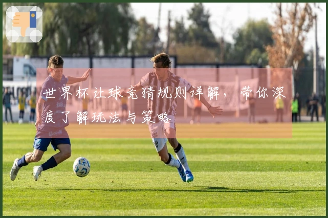 世界杯让球竞猜规则详解，带你深度了解玩法与策略