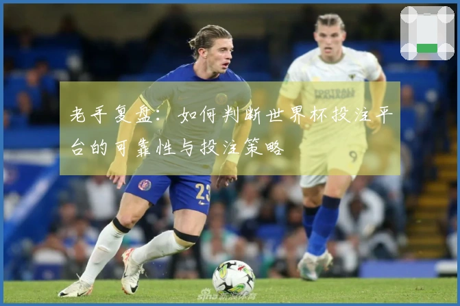 老手复盘：如何判断世界杯投注平台的可靠性与投注策略