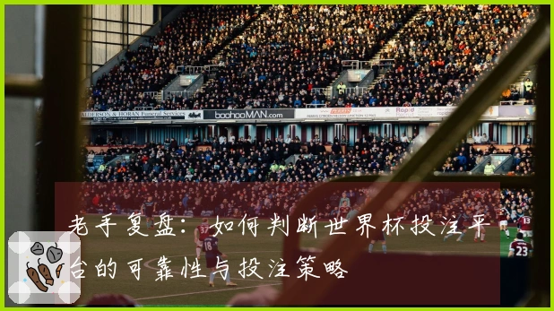 老手复盘：如何判断世界杯投注平台的可靠性与投注策略