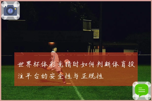 世界杯体彩竞猜时如何判断体育投注平台的安全性与正规性