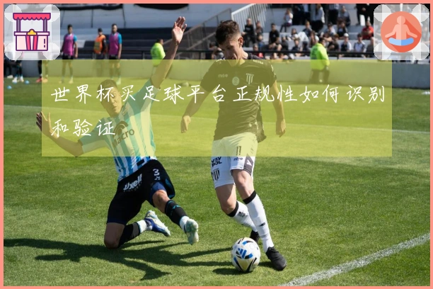 世界杯买足球平台正规性如何识别和验证
