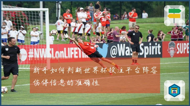 新手如何判断世界杯投注平台阵容伤停信息的准确性