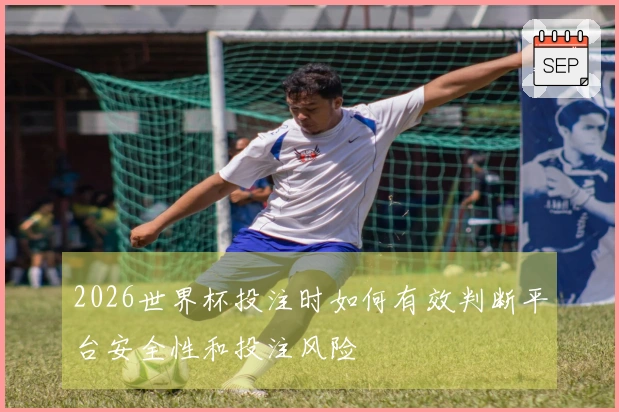 2026世界杯投注时如何有效判断平台安全性和投注风险