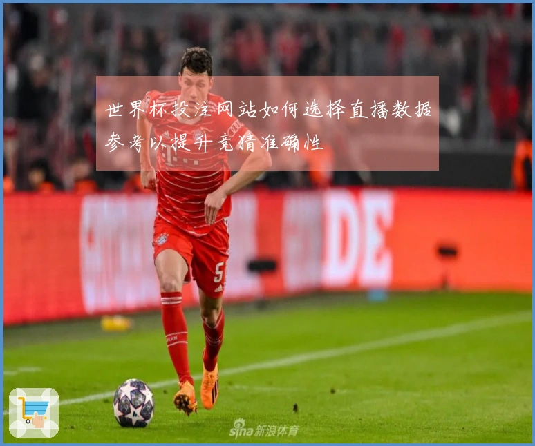 世界杯投注网站如何选择直播数据参考以提升竞猜准确性