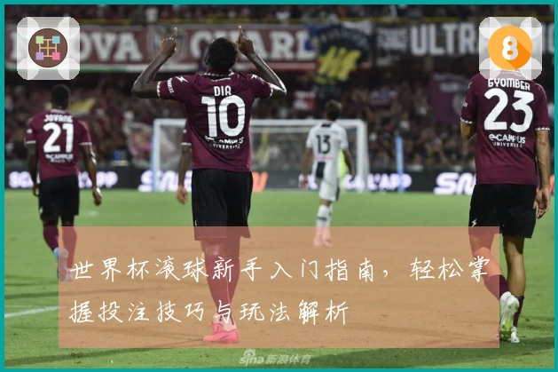 世界杯滚球新手入门指南，轻松掌握投注技巧与玩法解析