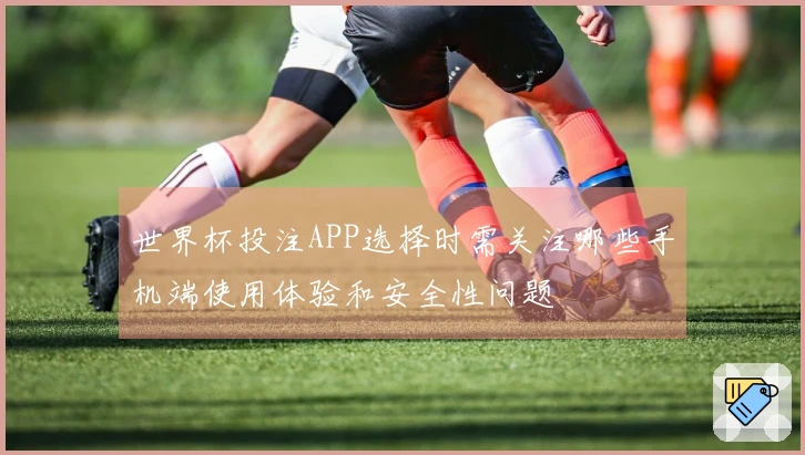 世界杯投注APP选择时需关注哪些手机端使用体验和安全性问题