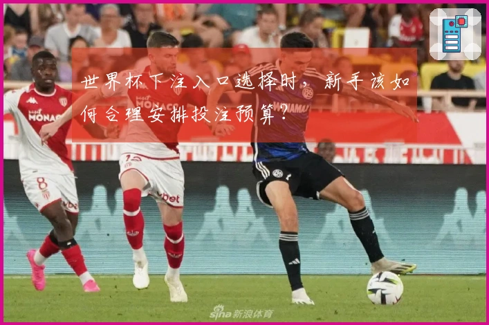世界杯下注入口选择时,新手该如何合理安排投注预算?