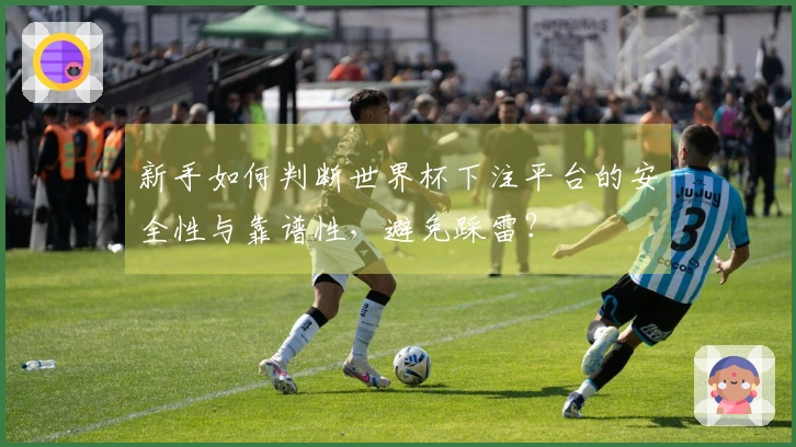 新手如何判断世界杯下注平台的安全性与靠谱性，避免踩雷？