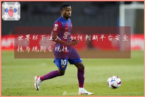 世界杯下注入口如何判断平台安全性与规则合规性