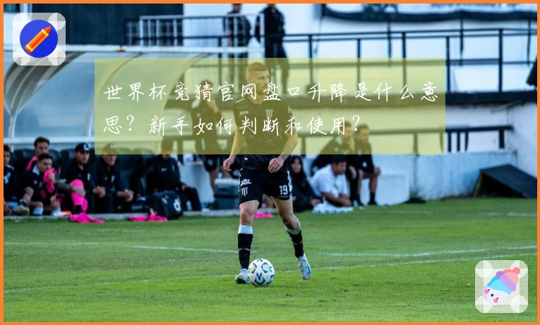 世界杯竞猜官网盘口升降是什么意思？新手如何判断和使用？