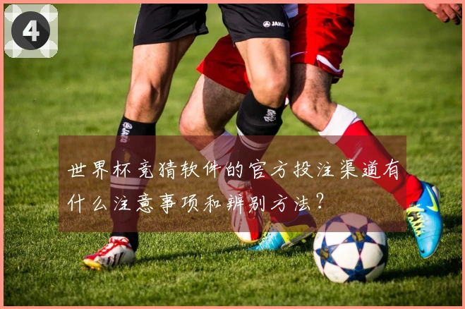 世界杯竞猜软件的官方投注渠道有什么注意事项和辨别方法？