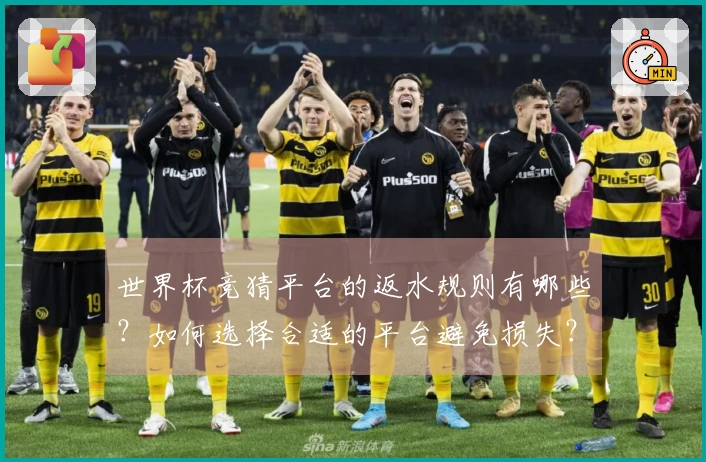 世界杯竞猜平台的返水规则有哪些？如何选择合适的平台避免损失？