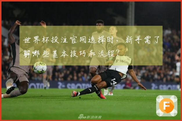 世界杯投注官网选择时，新手需了解哪些基本技巧和流程？