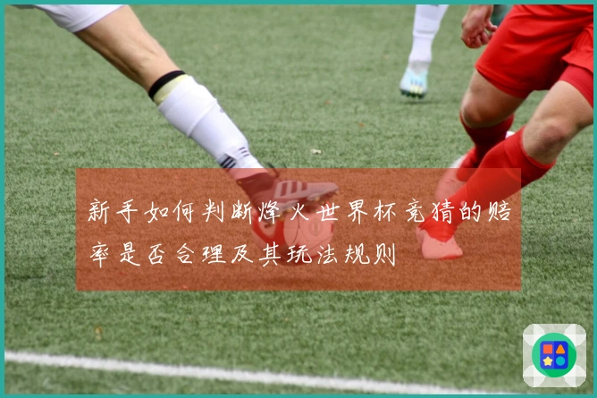 新手如何判断烽火世界杯竞猜的赔率是否合理及其玩法规则